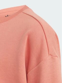 Adidas Originals Animal Graphic Print BF Crew -Sport Sphere 111HZ SQ4 0000000017 RED SLd