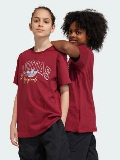 Adidas Originals Collegiate Graphic Pack BF Tee