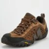 Merrell Men's Intercept Shoes - Brown