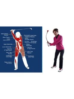 Pure2Improve Golf Tempo Trainer 40 Inch -Sport Sphere QMJWT SQ5 0000000088 NO COLOR SLd2