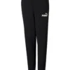 Puma Boys Essentials Logo Fleece Pants - Black
