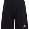 Adidas Youth Entrada 22 Training Short - Black
