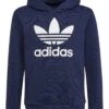 Adidas Originals Junior Adicolor Trefoil Hoodie - Dark Blue