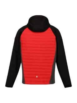 Regatta Andreson Vii Hybrid - Red -Sport Sphere VCIRS SQ4 0000000017 RED MDd