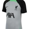Nike Liverpool Fc Junior 23/24 Strike Short Sleeved Tee - Grey