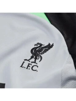 Nike Liverpool Fc Junior 23/24 Strike Short Sleeved Tee - Grey -Sport Sphere VGKZV SQ4 0000000005 GREY SLd