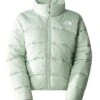 THE NORTH FACE Women's TNF Jacket 2000 - Green