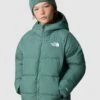 THE NORTH FACE Boys Reversible North Down Hooded Jacket - Khaki