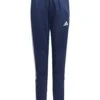 Adidas Adidas Junior Tiro Club 23 Winterized Pant - Silver