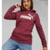 Puma Girls Essentials Fleece Logo Hoodie - Dark Red