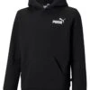 Puma Boys Essentials Small Logo Fleece Hoodie - Black