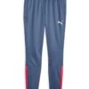 Puma Mens Liga Trainingwear Pant