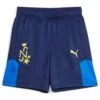 Puma Neymar Jnr Training Shorts - Multi