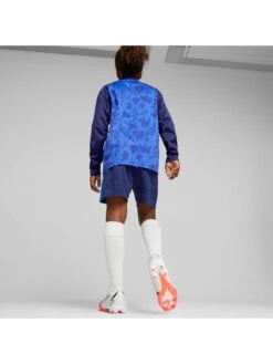 Puma Neymar Jnr Training Shorts - Multi -Sport Sphere VMI8R SQ5 0000000029 MULTI SLd1