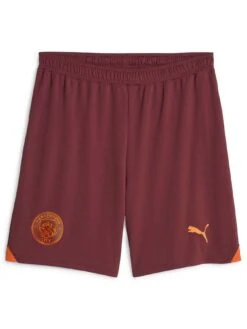 Puma Men's Manchester City 23/24 Away Shorts