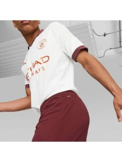 Puma Men's Manchester City 23/24 Away Shorts -Sport Sphere VMI9A SQ4 0000000143 BROWN SLd